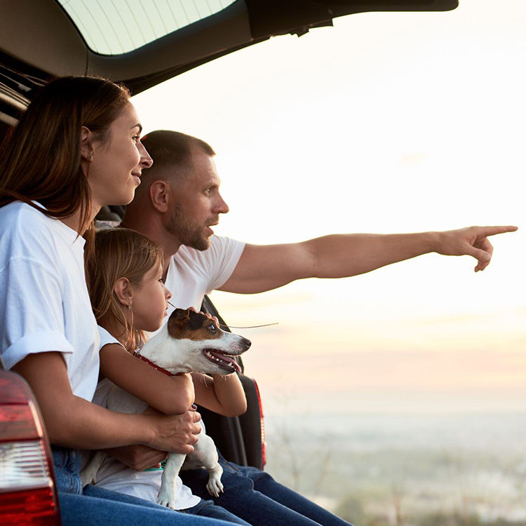 Familj med barn och hund i bilen som tittar ut mot solnedgången – redo för resa och äventyr.